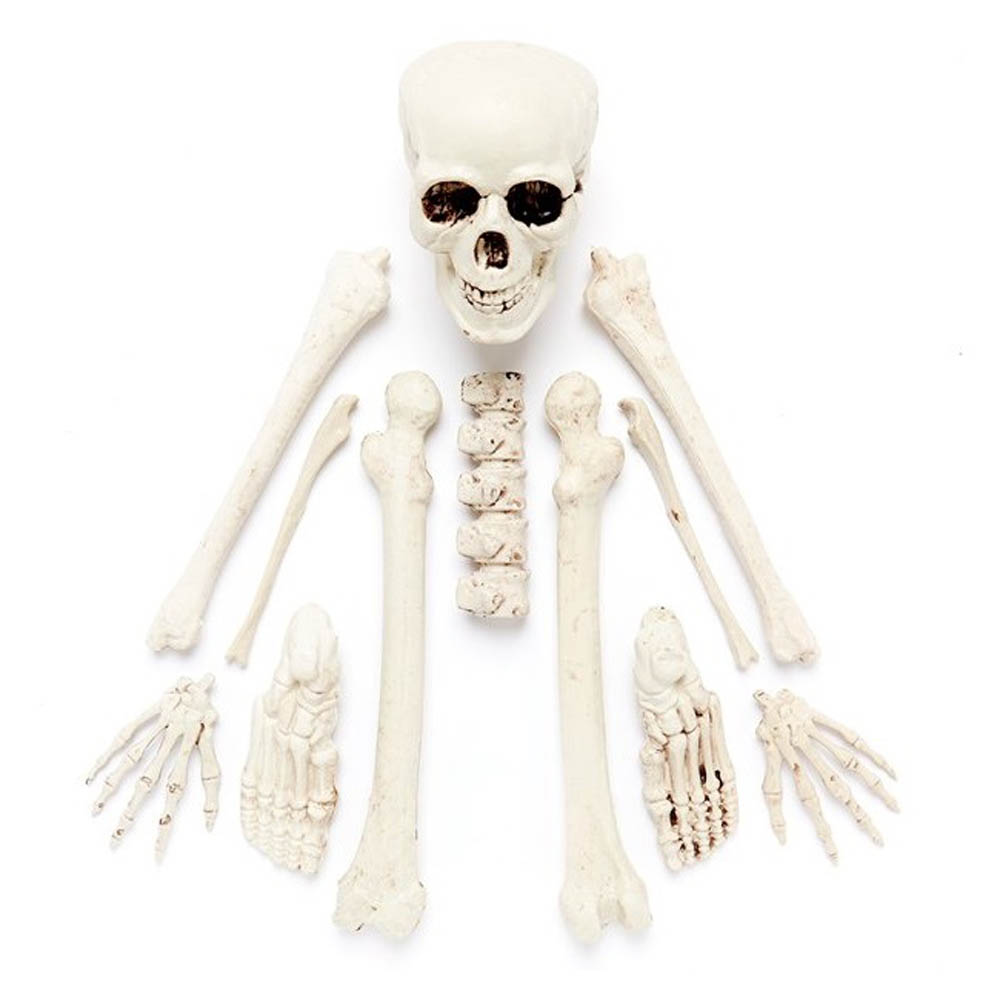 Party Camel - Complete Bag of Skeleton Bones