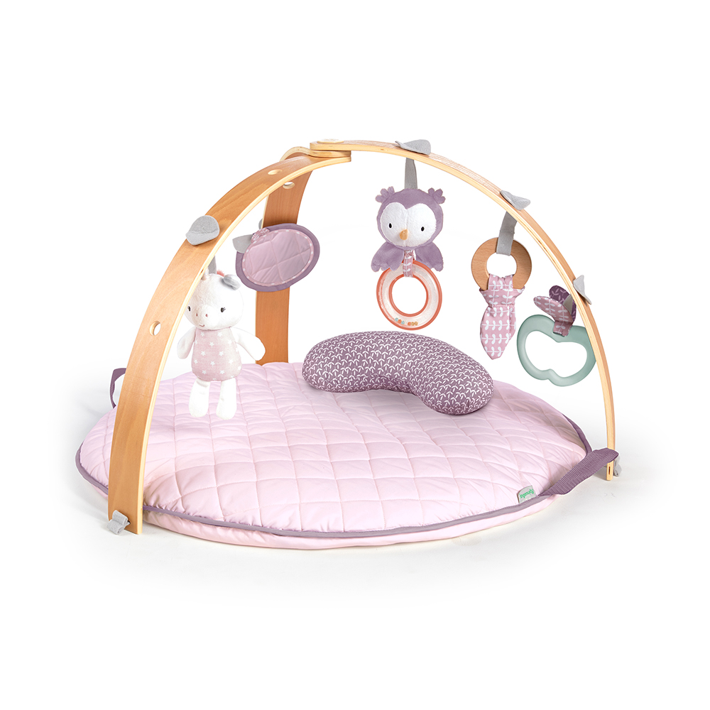 INGENUITY - COZY SPOT ACTIVITY GYM - CALLA