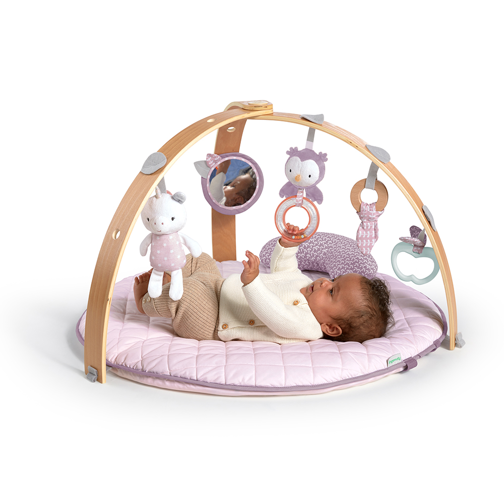INGENUITY - COZY SPOT ACTIVITY GYM - CALLA