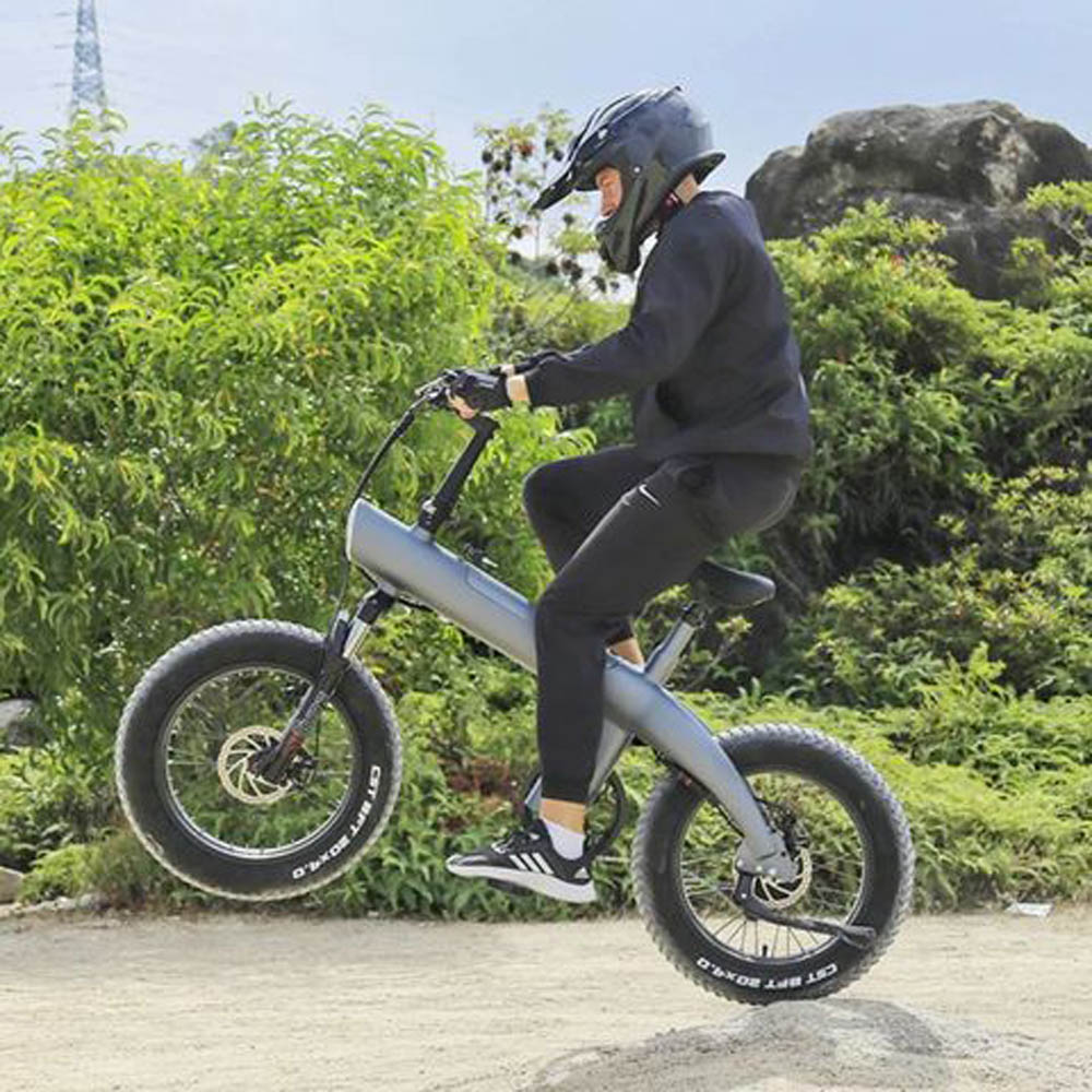 Myts - Speed Pro 48v Electric Bicycle Offroad Fat Tire 20inch