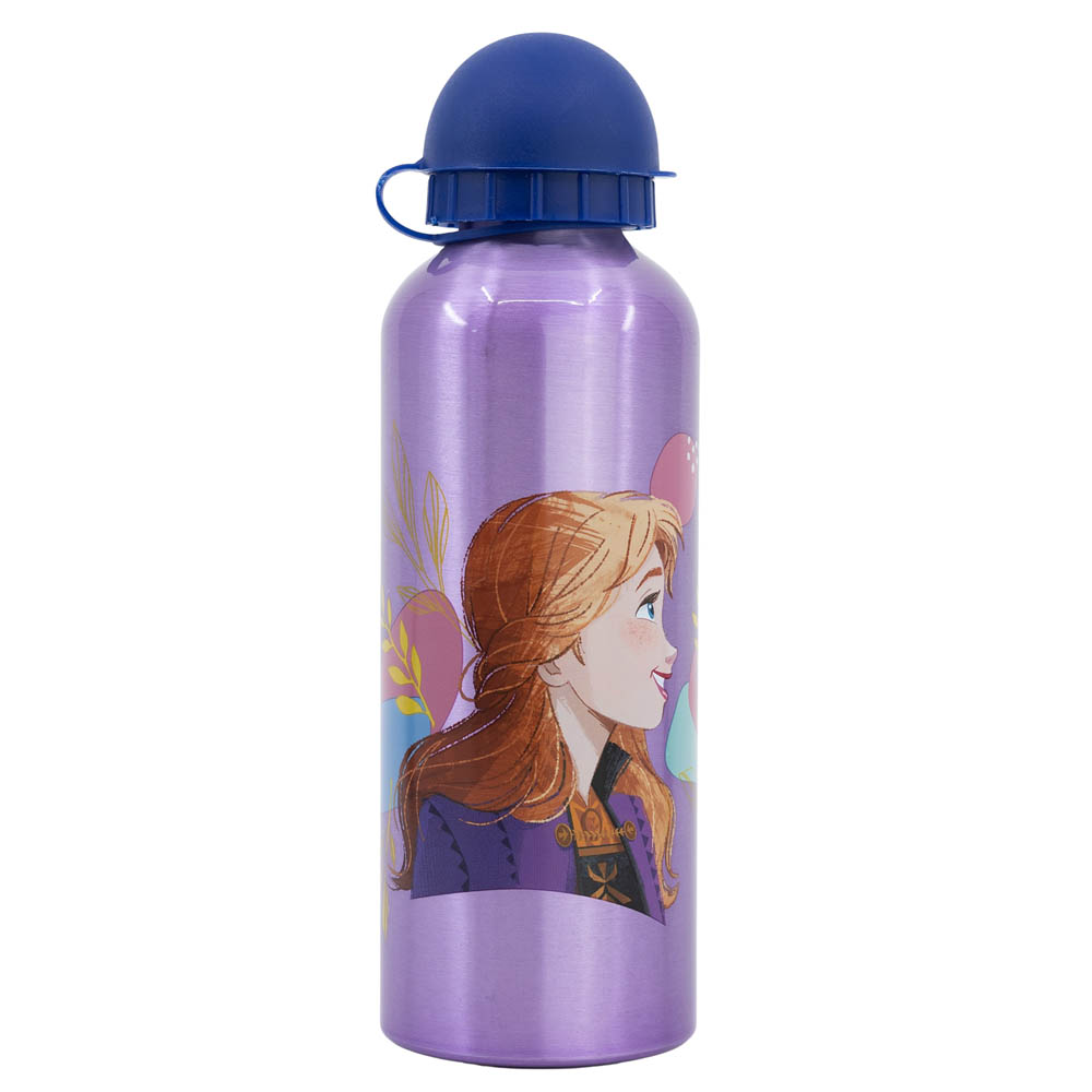 Stor - Frozen Trust Bottle - 530ml - Purple