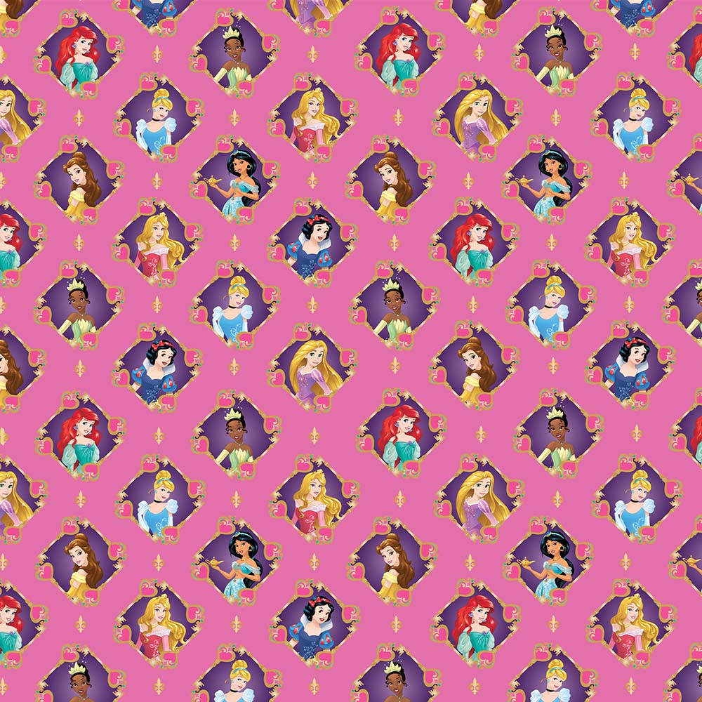 Disney Princesses - Keys to the Kingdom Giftwrap