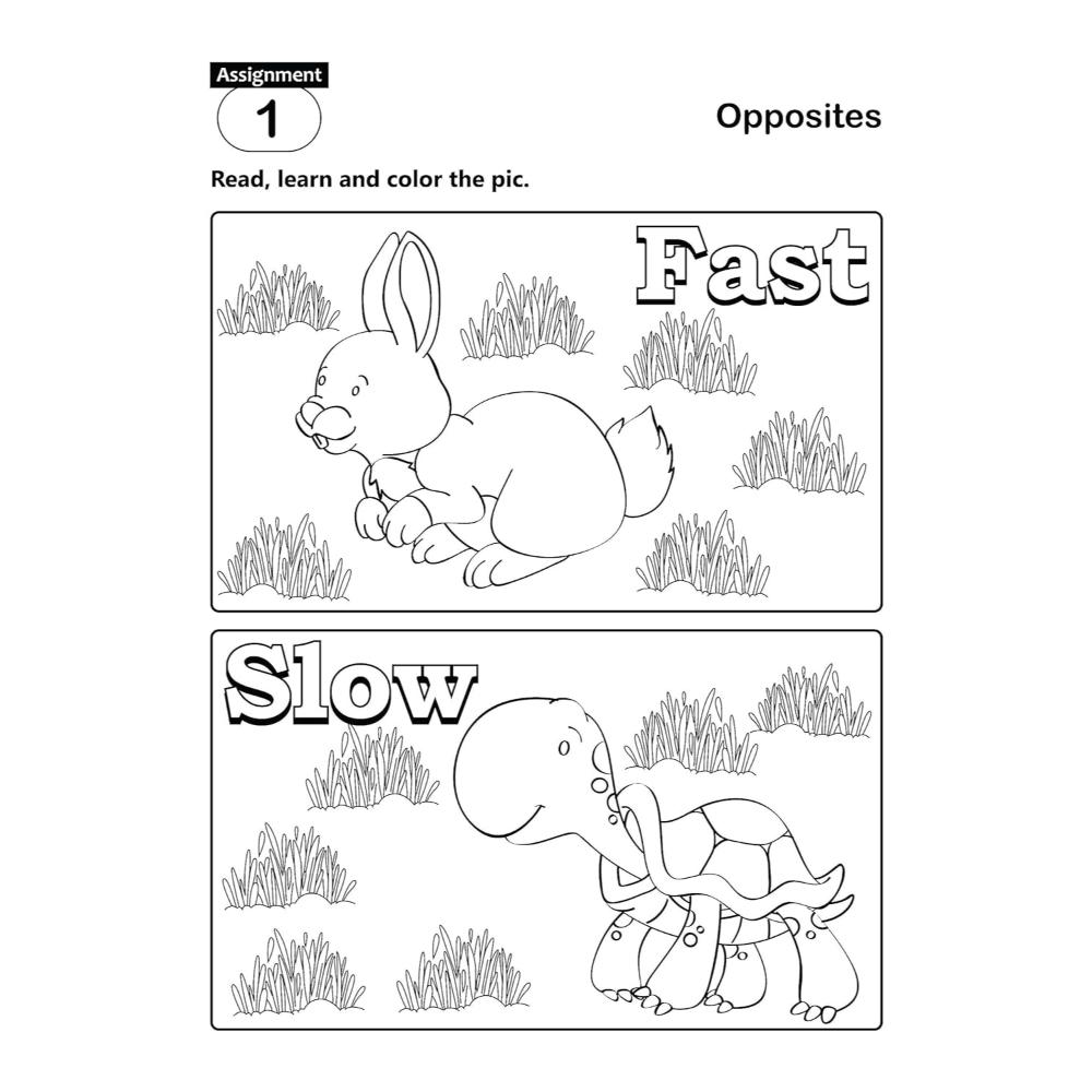 Kohli Book Distributors - Fun and Learn Activity Worksheet - Opposite
