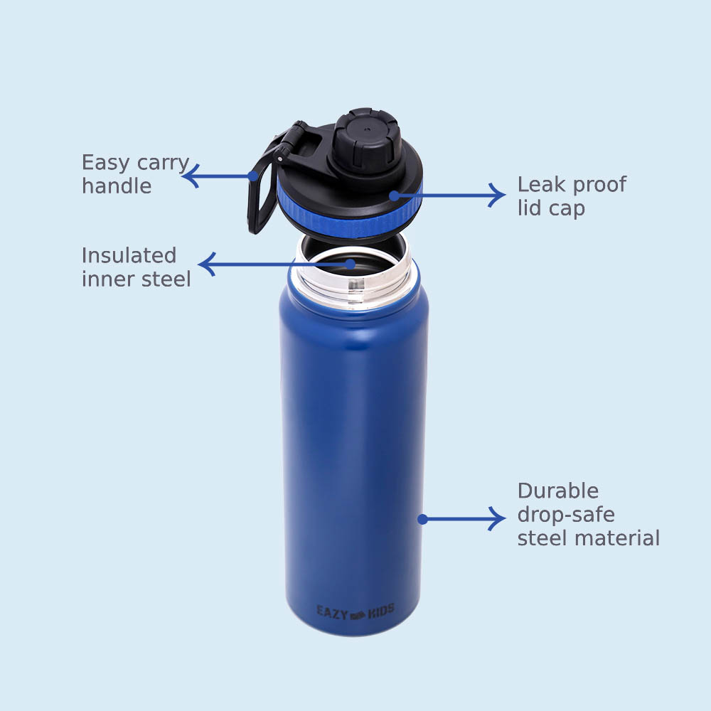 Eazy kids - Insulated Tracking Water Bottle - Blue, 800ml