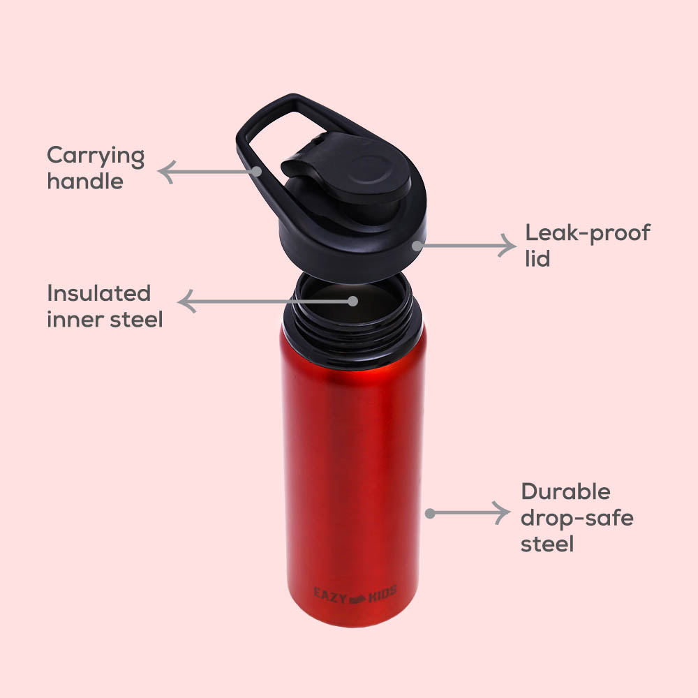 Eazy kids - Stainless Steel Sports Water Bottle - Red, 700ml