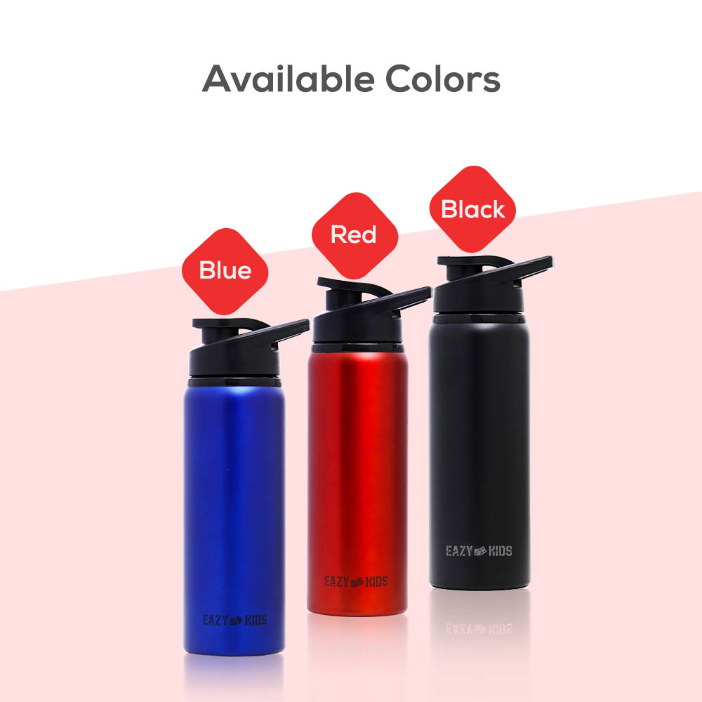 Eazy kids - Stainless Steel Sports Water Bottle - Red, 700ml