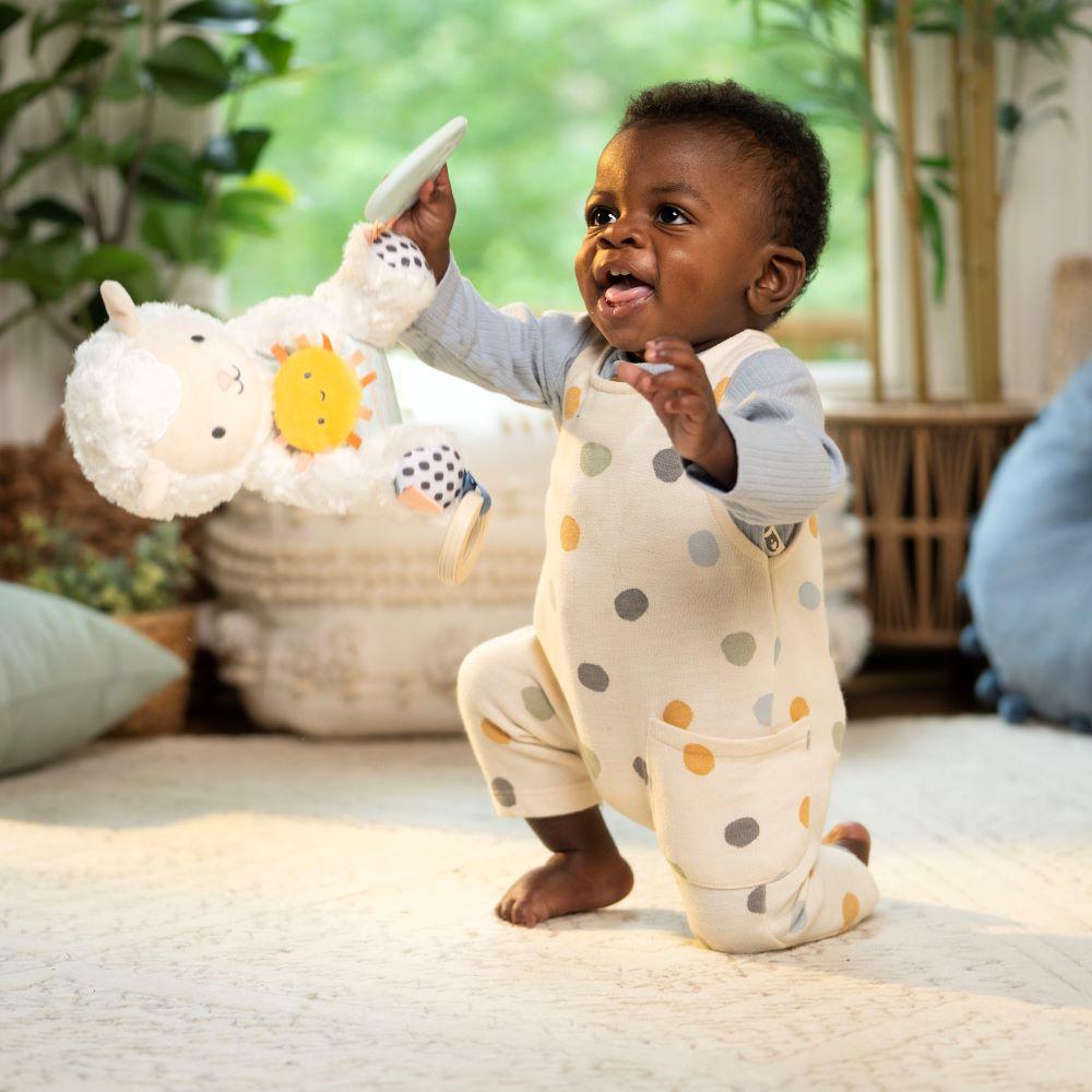 Ingenuity - Calm Springs Plush Activity Pal Cloud Teether - Sheppy