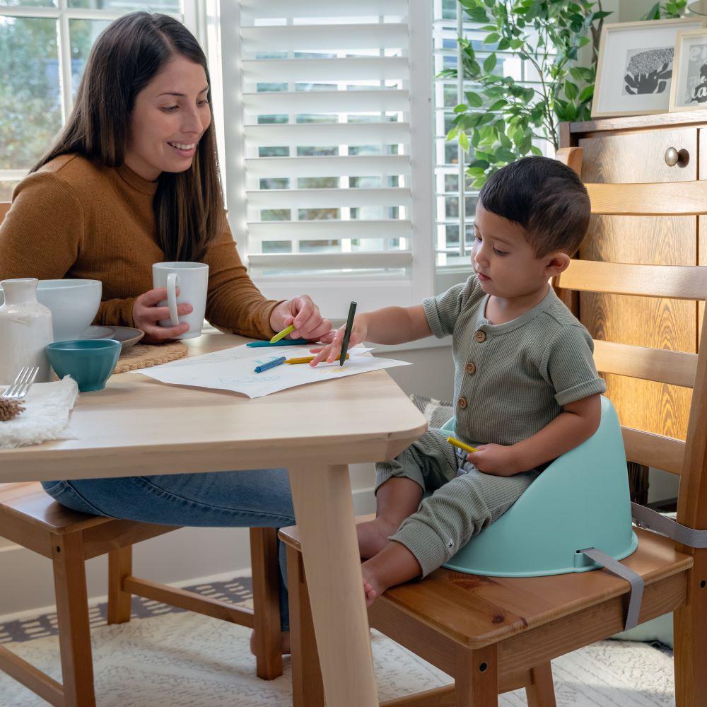 Ingenuity - Simplicity Seat Easy-clean Baby Booster Feeding Chair - Blue