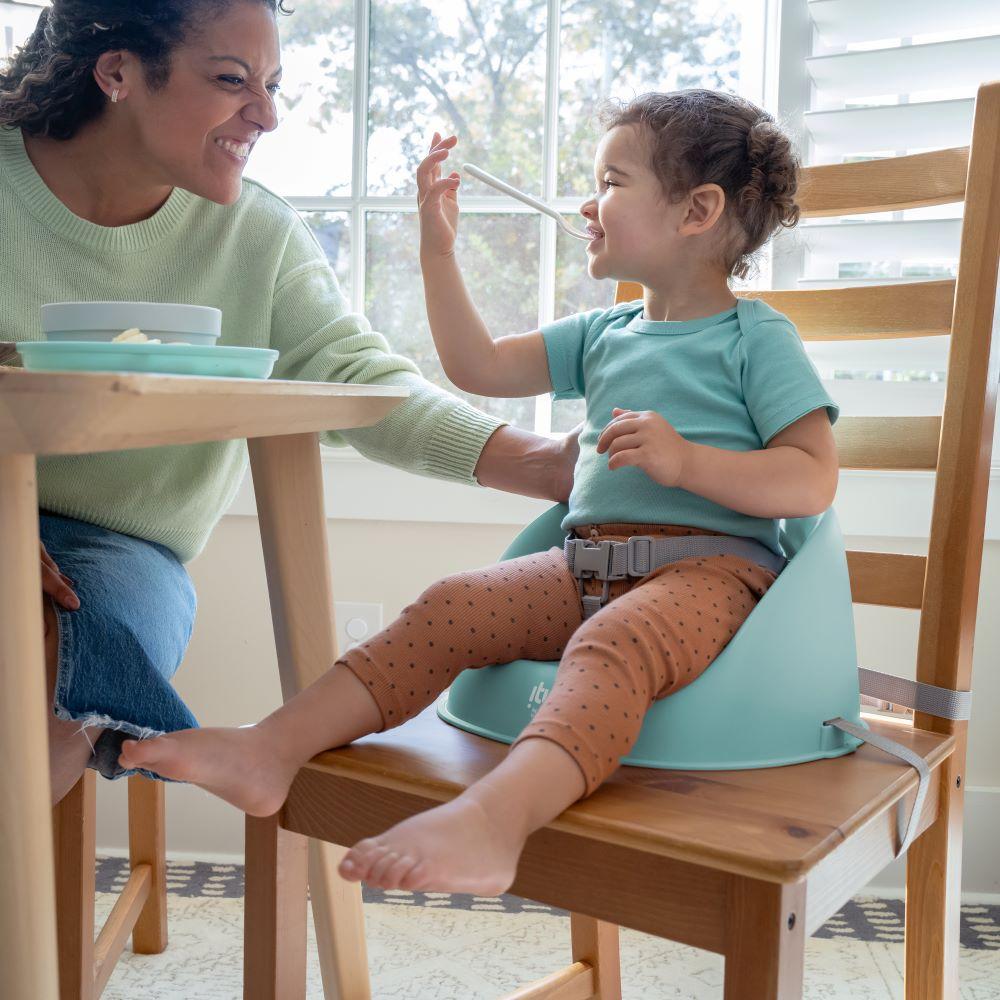 Ingenuity - Simplicity Seat Easy-clean Baby Booster Feeding Chair - Blue