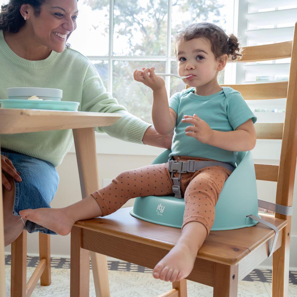 Ingenuity - Simplicity Seat Easy-clean Baby Booster Feeding Chair - Blue