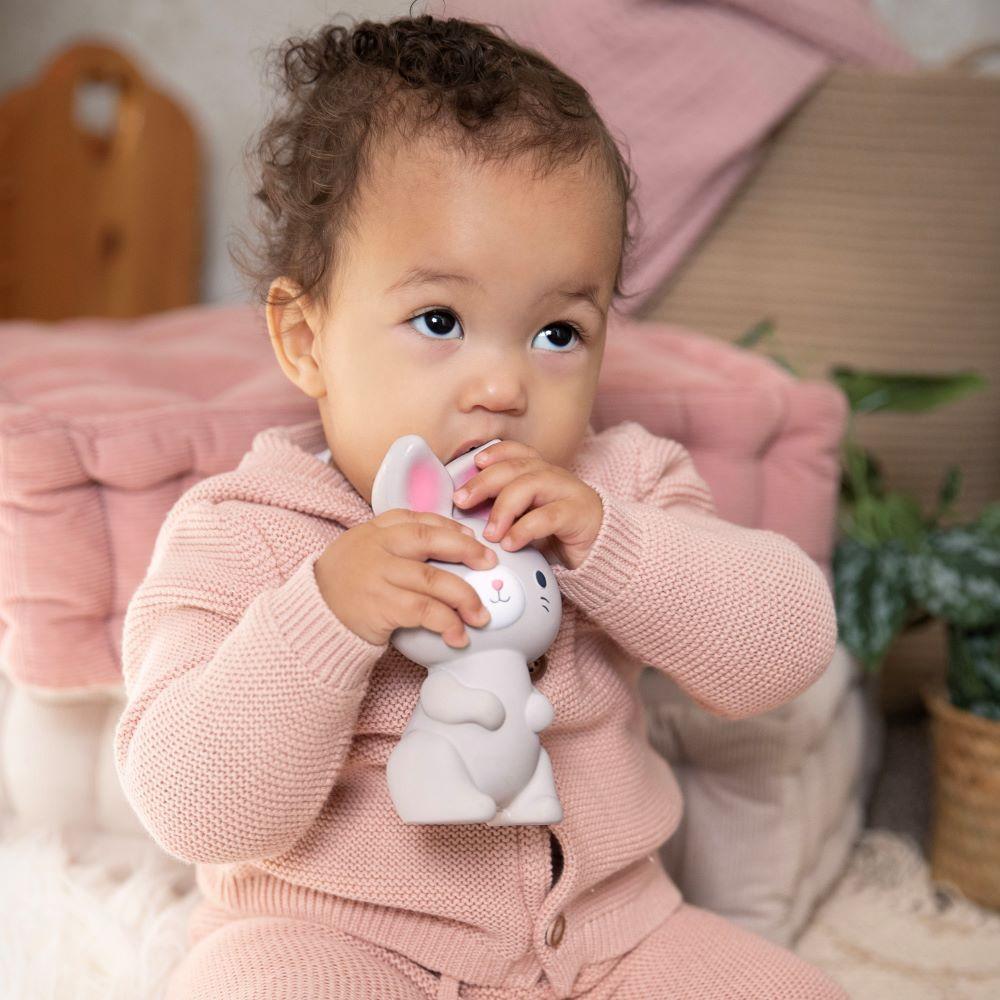 Ingenuity - Sylvi Natural Rubber Teether Toy