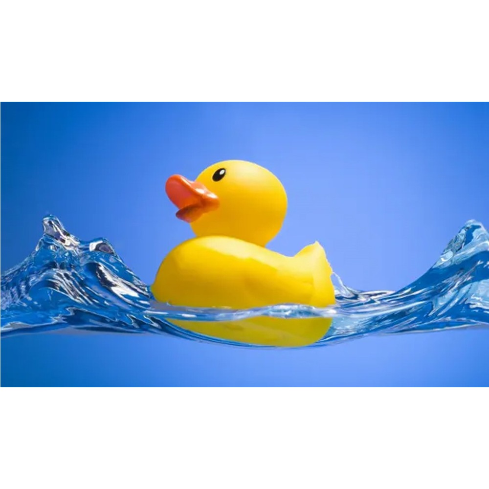 Sassy Toys - Cool Water Ducky with Temperature Sensative Indicator