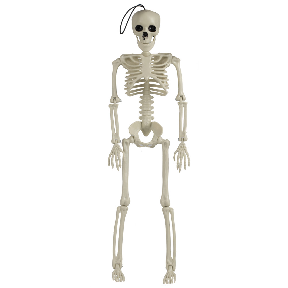 Ginger Ray - Large Skeleton Decoration