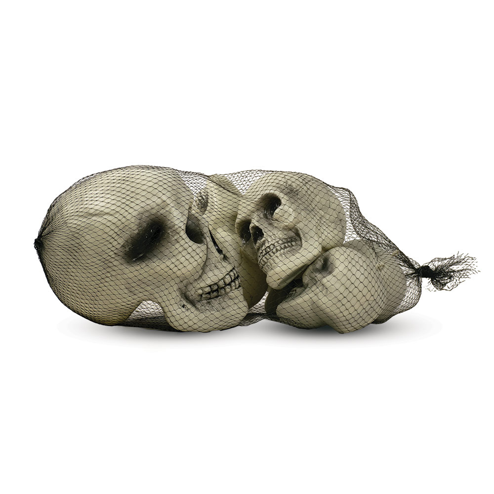 Mad Toys - Creepy Assorted Skulls - Halloween Decoration - 6Pcs