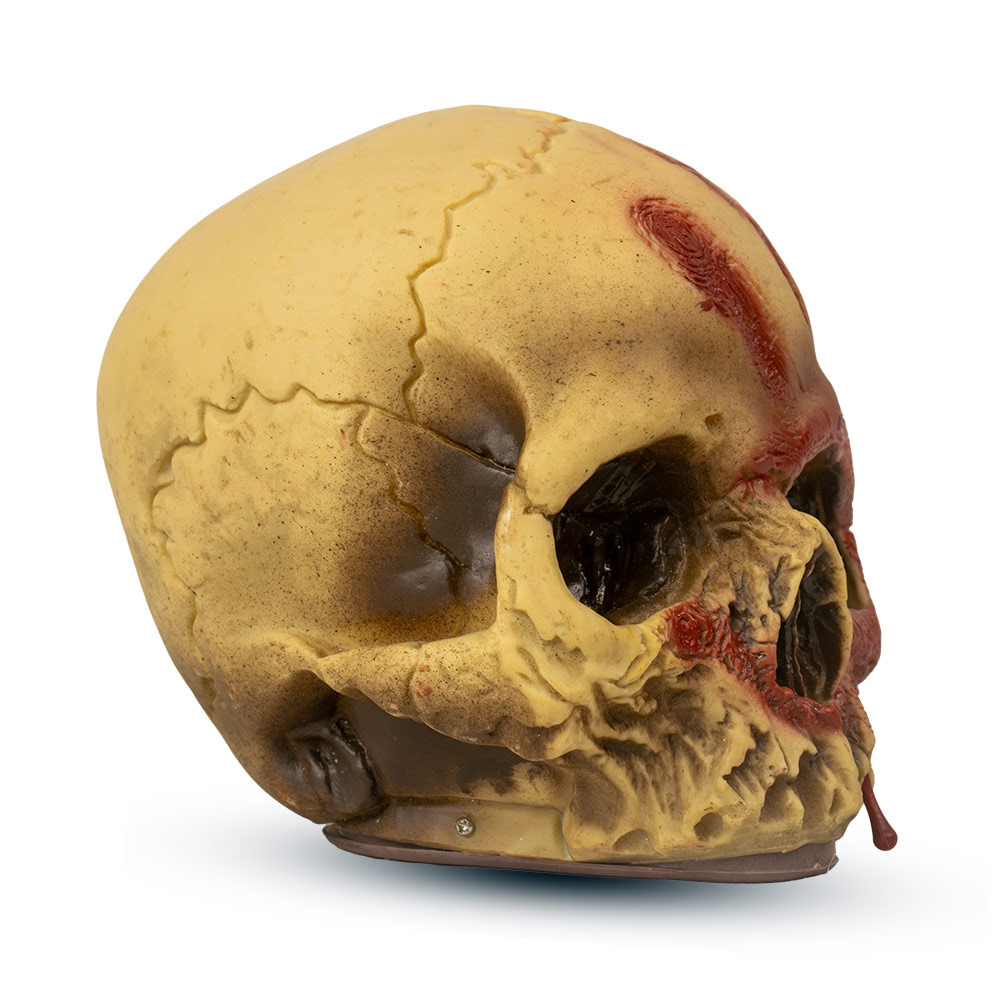 Mad Toys - Handprint Bloody Skull - Halloween Decoration