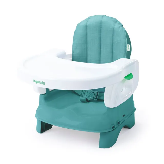 Ingenuity Booster Seat