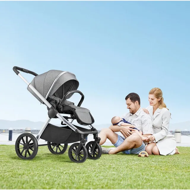 Gokke - Reversible Baby Stroller with 5 Point Safety Harness, Forward & Rear Facing, Height Adjustable Handlebar, 0-36 Months, Grey & Silver