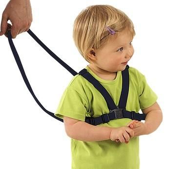 B sale safe harness