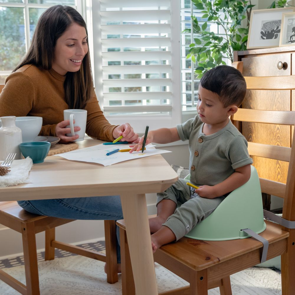 Ingenuity My Spot Easy-Clean Booster Seat - 3-Point Harness, Washable Straps, Secure Fit, Green, 6–36 Months